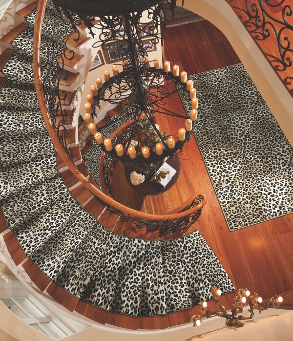 Leopard Collection - Image 2