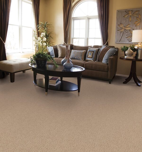 Novellino Collection - Image 2