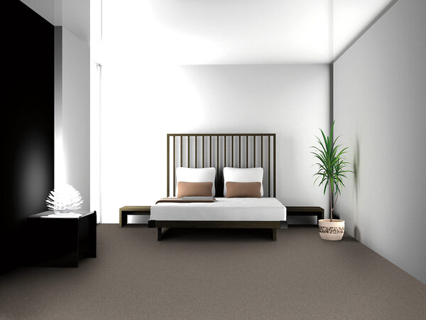 Oceanside Collection - Image 2