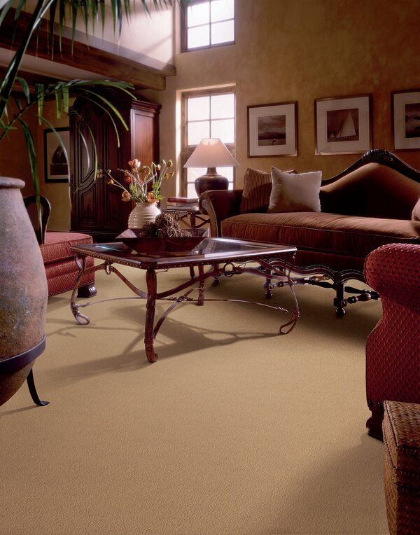 Panache Collection - Image 2