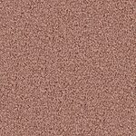 Fired Clay
