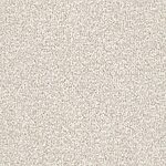 Shell Beige