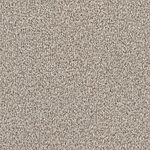 Weathered Deck