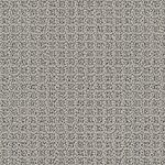Dolphin Grey