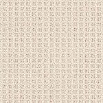 Shell Beige