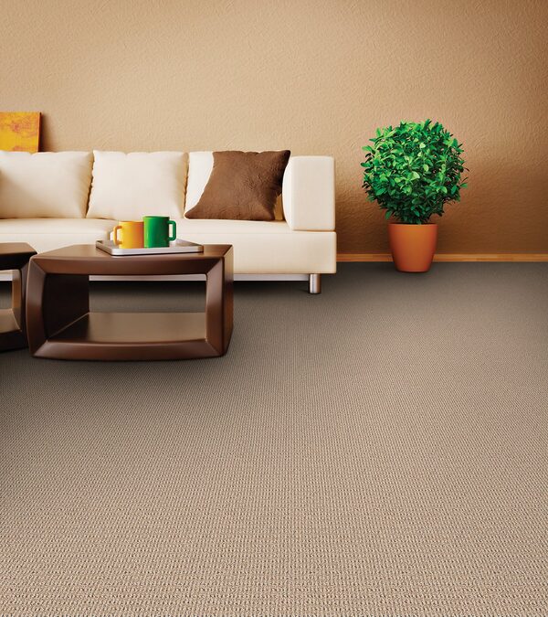Sisaltex Collection - Image 2