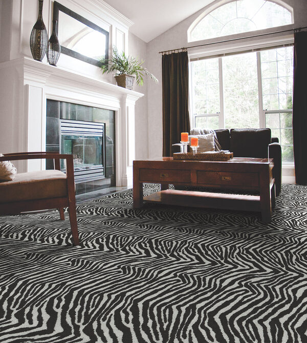 Zebra Collection - Image 2