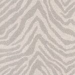 Grevy's Zebra