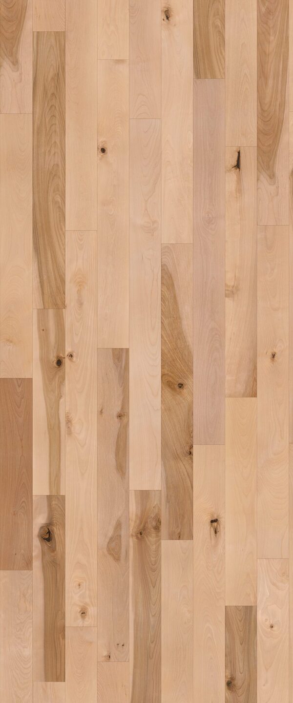 Radiance (Natural Birch)