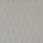 Compelling - Absolute