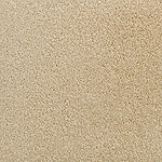 Warm Toast - Accolade