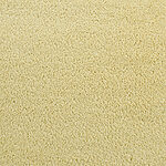 Day Lilly - Accolade