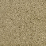 Willow Wood - Accolade