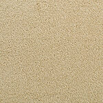 Cairo Gold - Accolade