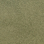 Rain Forest - Accolade