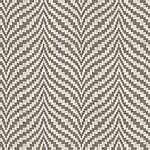 Winter Forest - Amsterdam