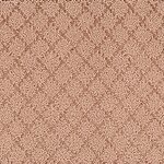 Potter's Clay - Artisan