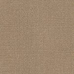 Flax - Bangladesh