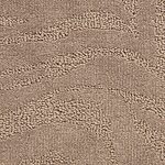 Shark Skin - Cape Town
