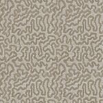 Antiquity - Celebration