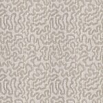 Shoreline - Celebration