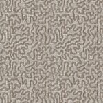 Stone Path - Celebration