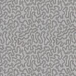 Windswept - Celebration