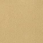 Barley - Chez-100