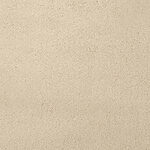 Silt - Chez-100