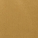 Sassafras - Chez-100