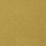 Bronze - Chez-100