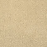 Jungle Haze - Chez-100