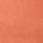 Carnation - Chez-100