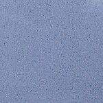 Delphinium - Chez-100