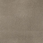 Chinchilla - Chez-100