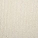 Angel Wings - Chez-Cote