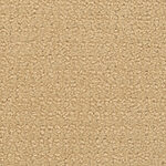 Golden Retriever - Chinois