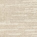 Sand Dollar - Cirrus