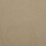 Bukhara - Classic Elegance