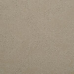 Cashew - Classic Elegance