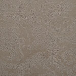 Moon Shadows - Classic Elegance