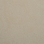 Buttercream - Classic Elegance