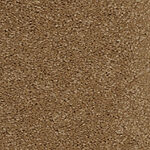 Warm Earth - Cotton Club