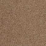 Cinnamon Cake - Cotton Club