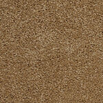 Honey Beige - Cotton Club