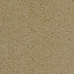 Belgium Cream - Cotton Club