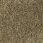 Moss Landing - Cotton Club