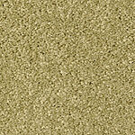 Spring Meadow - Cotton Club