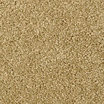 Ryegrass - Cotton Club