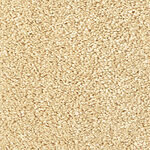 Riverbank - Cotton Club